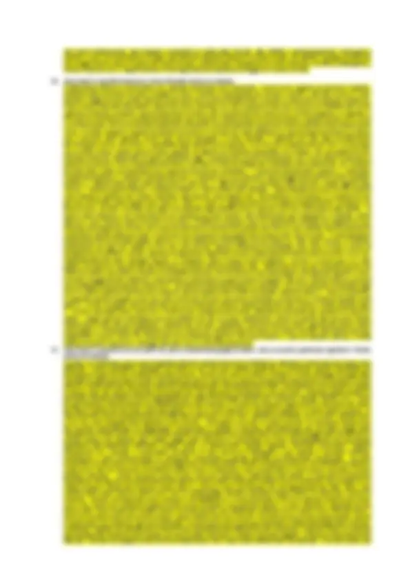pf14