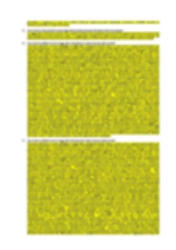 pf13