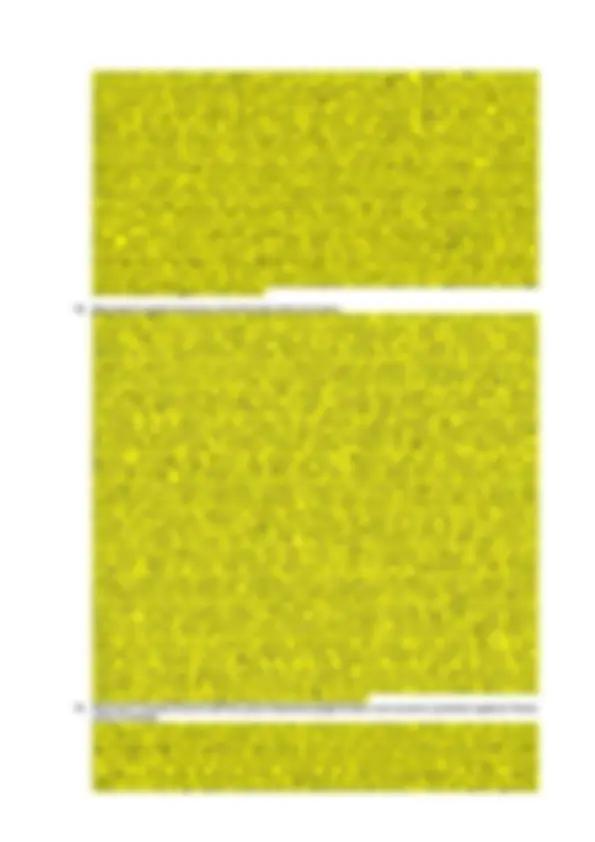 pf14
