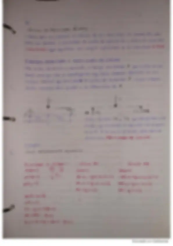 pf31