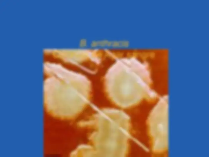 pf15