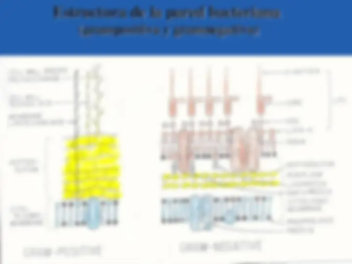 pfa