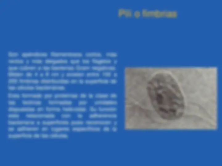 pf23
