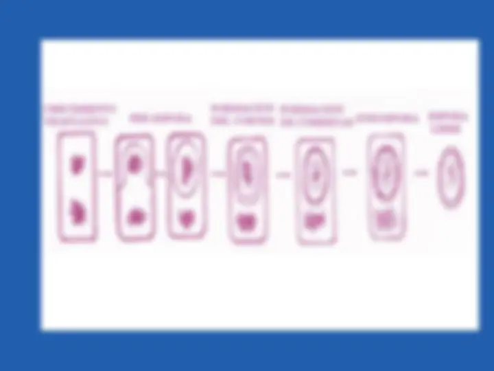 pf32