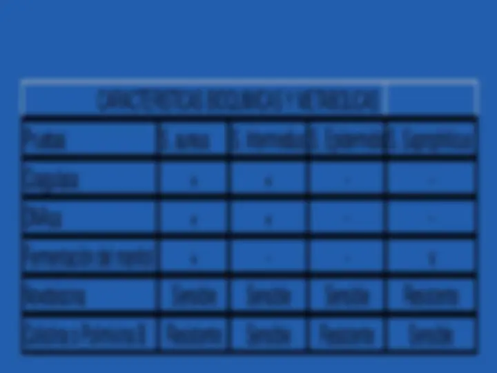 pf28