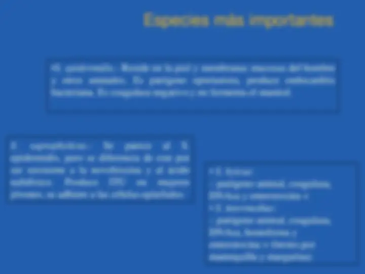 pf1e