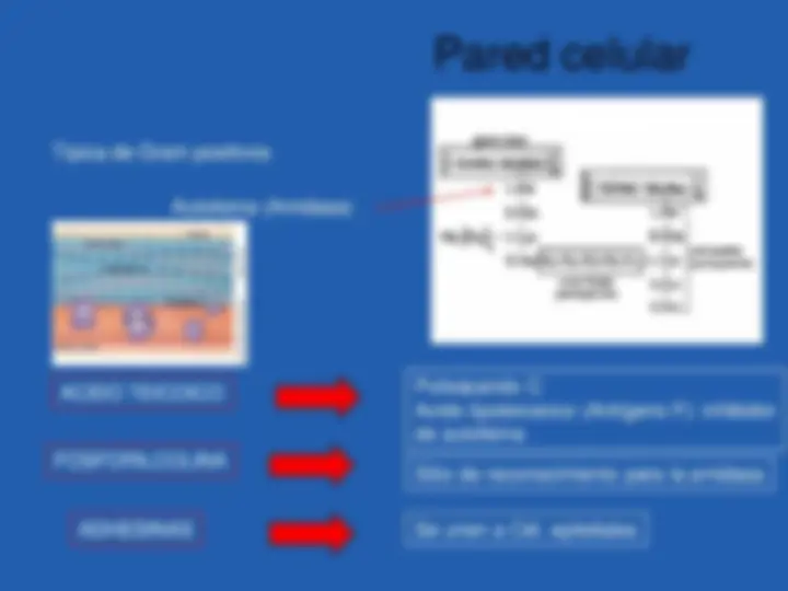pf3d
