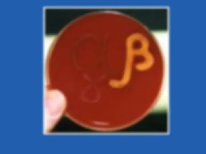 pf5