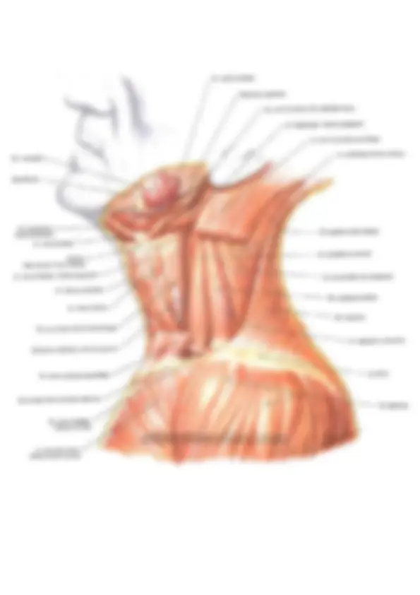 pf5