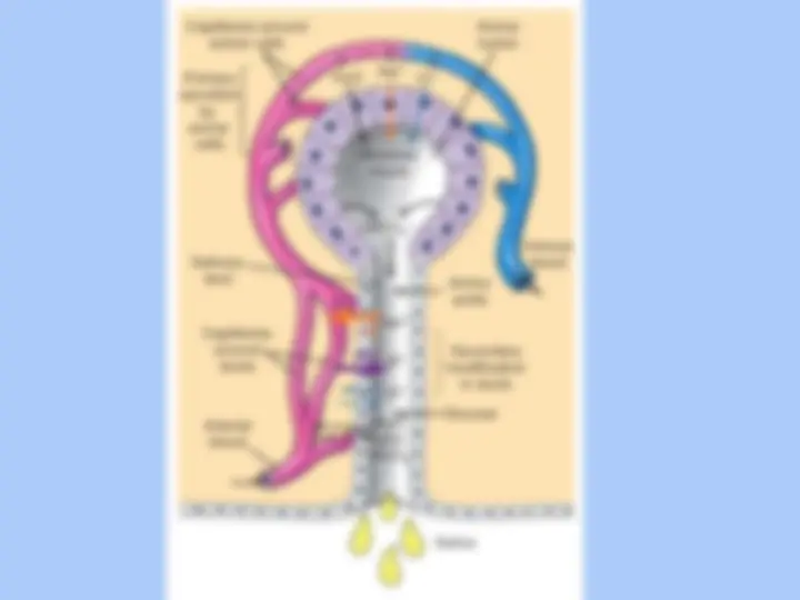 pf4f