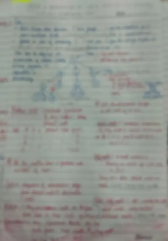 pf31