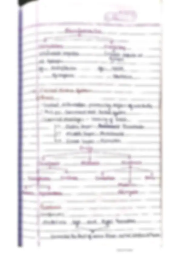 pf5