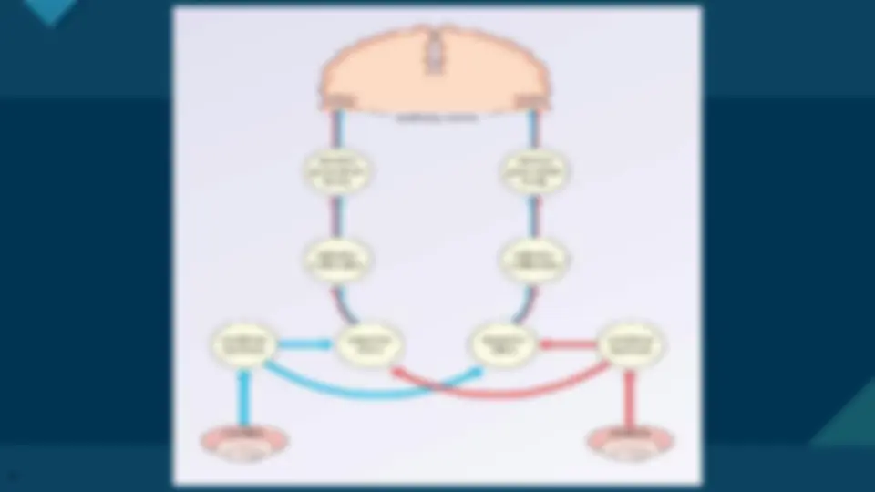 pf4