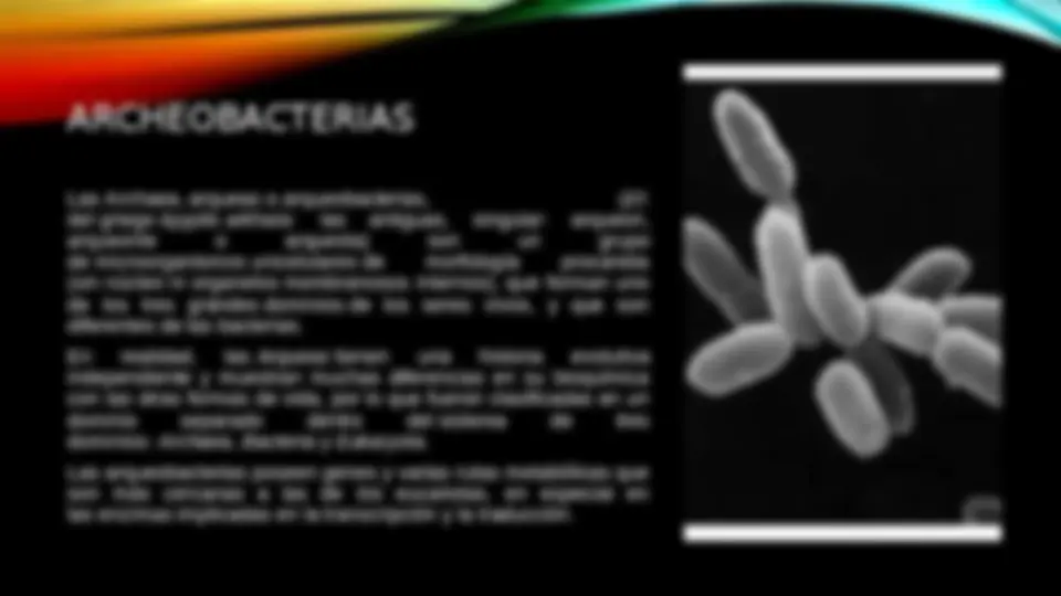 pf3