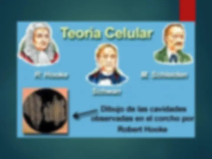 pf5