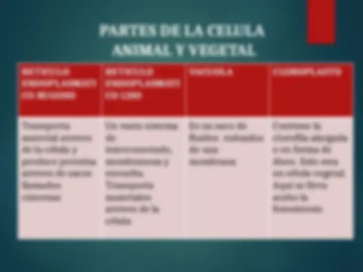 pf13