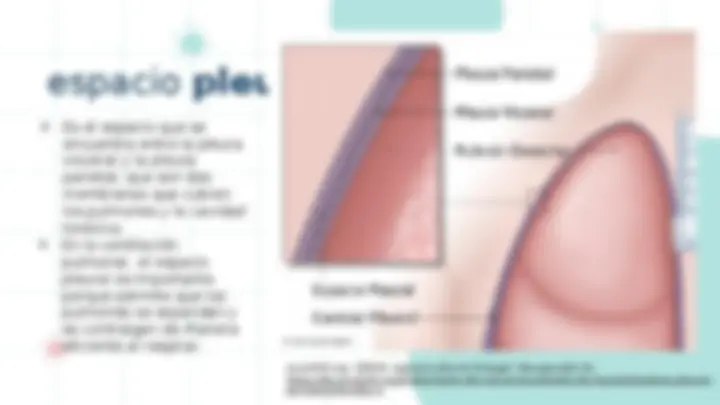 pf5