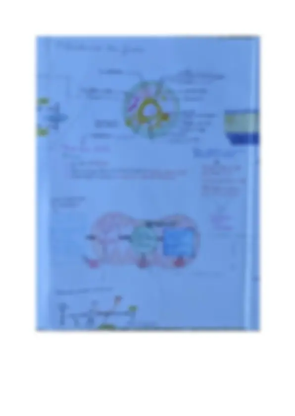 pf3