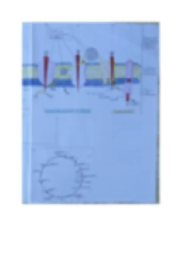 pf4