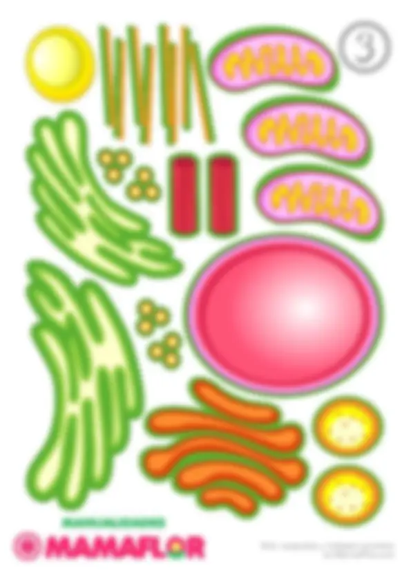 pf3