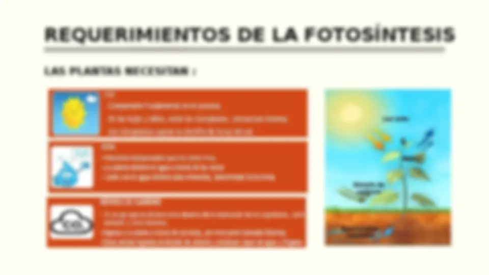 pf5