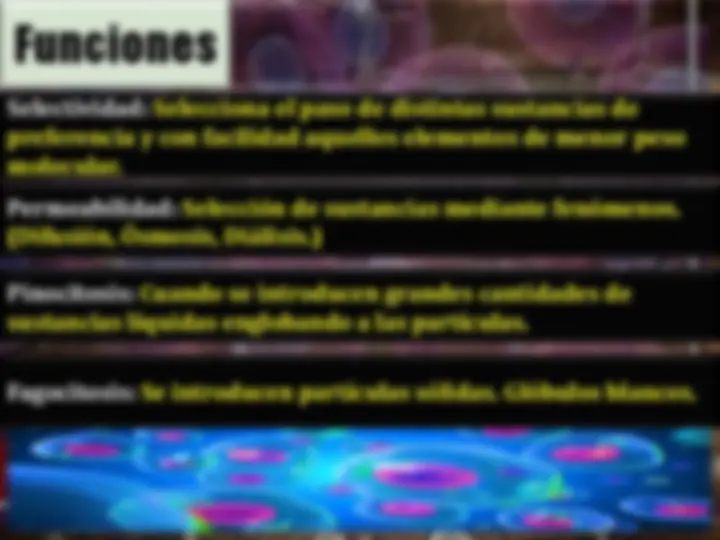 pf4