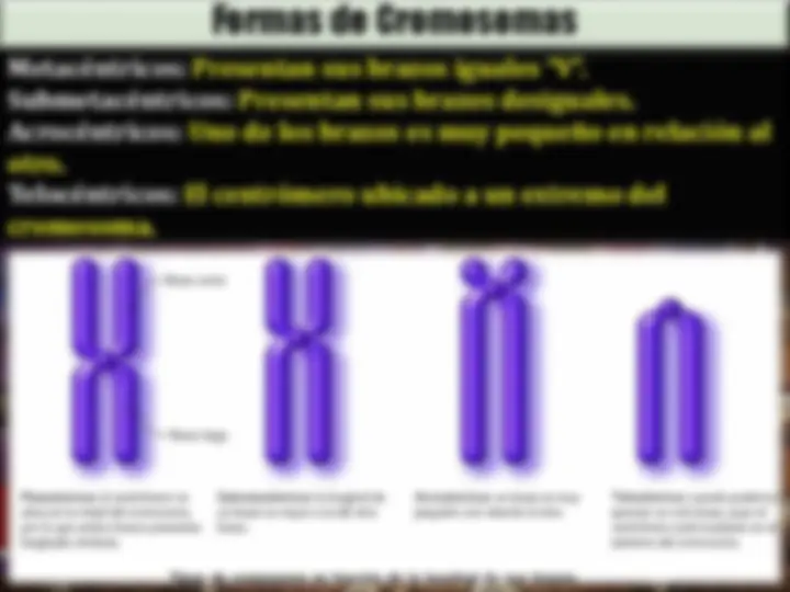 pf5