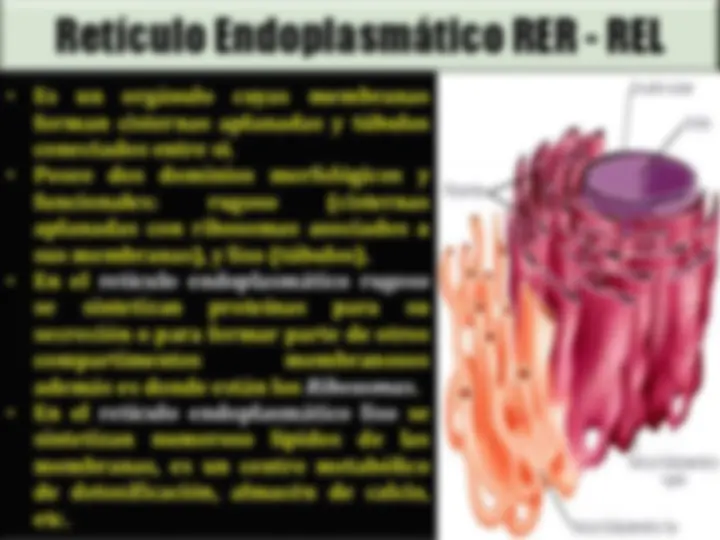 pf3