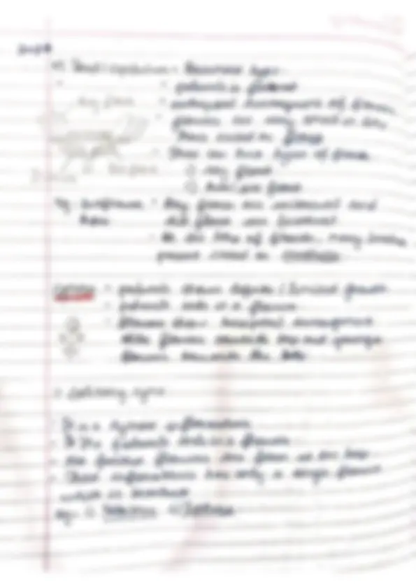 pf4