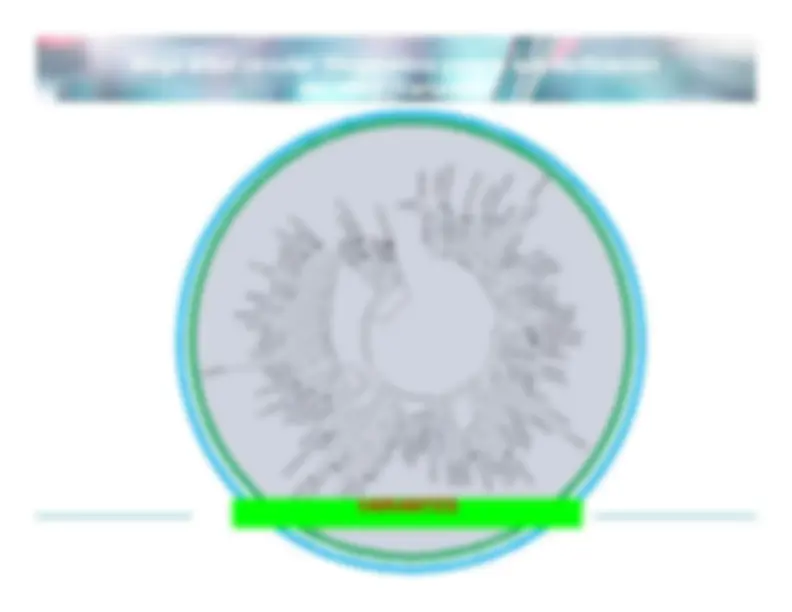 pfe