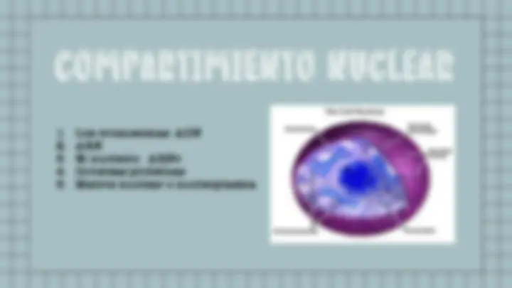 pf4