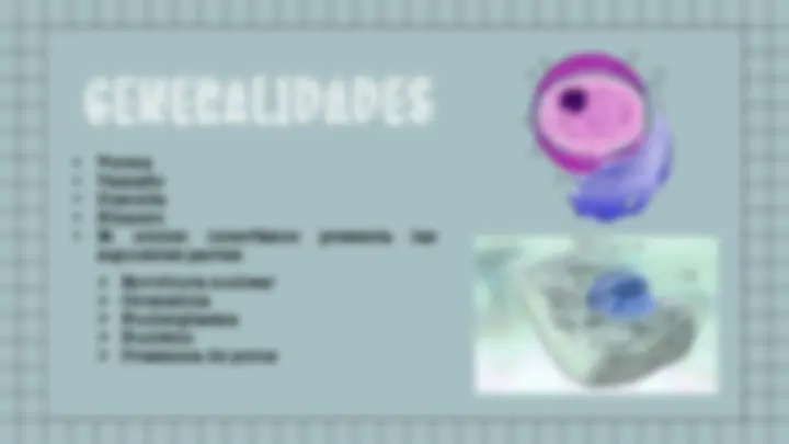 pf3