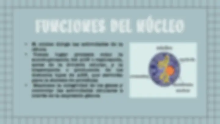 pf5