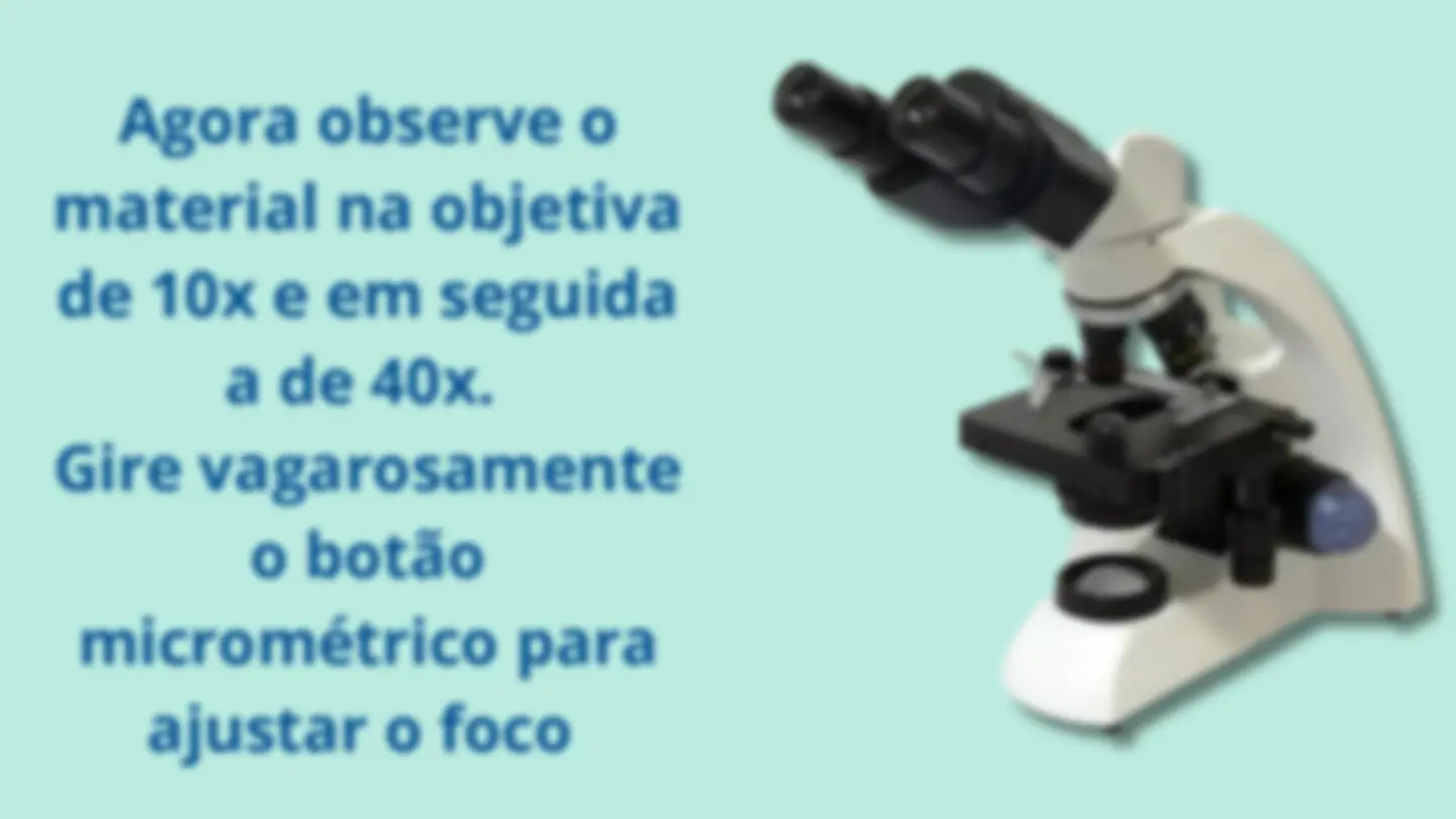 pf12