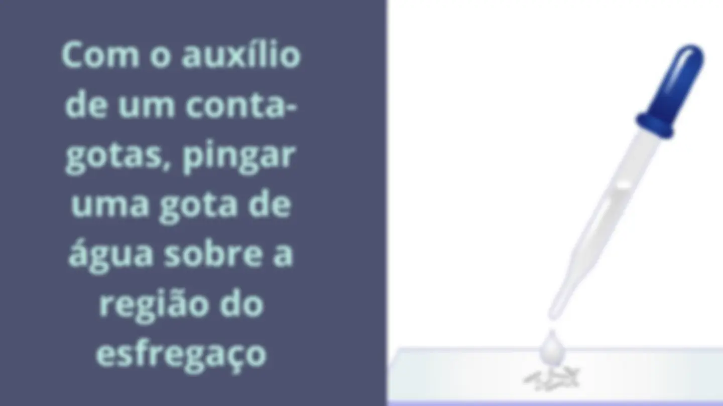 pfe