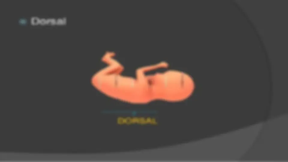 pf3d