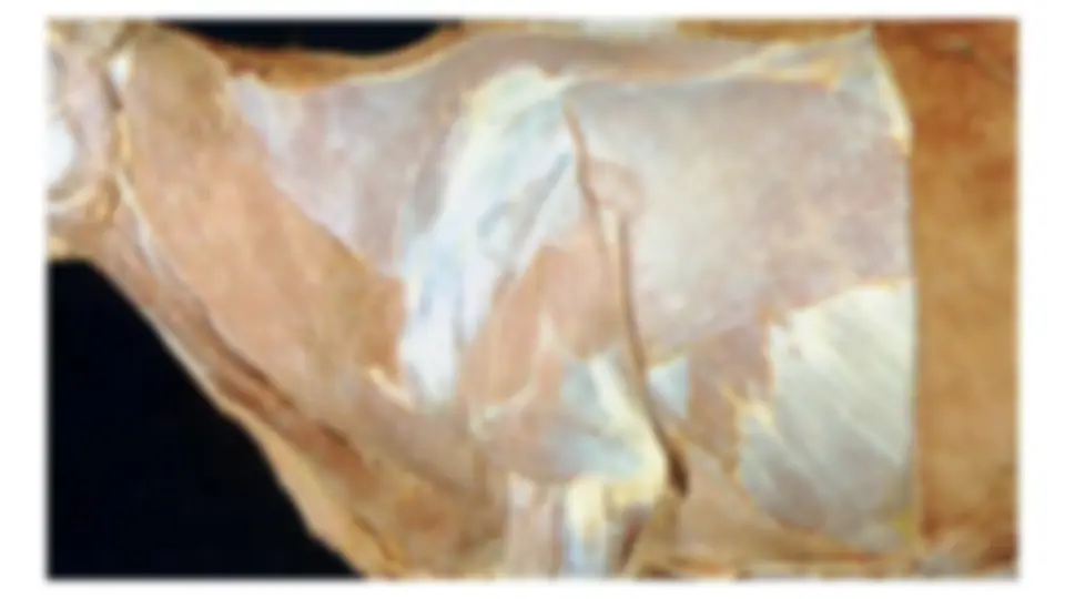 pf12