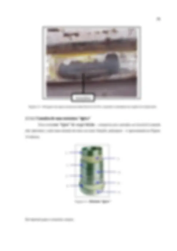 pf29
