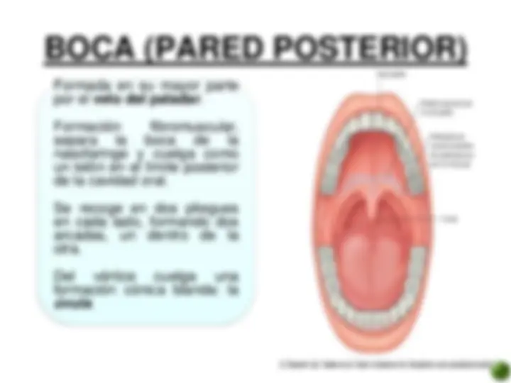 pfa