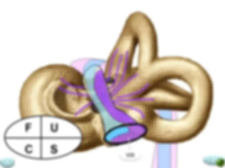 pf34
