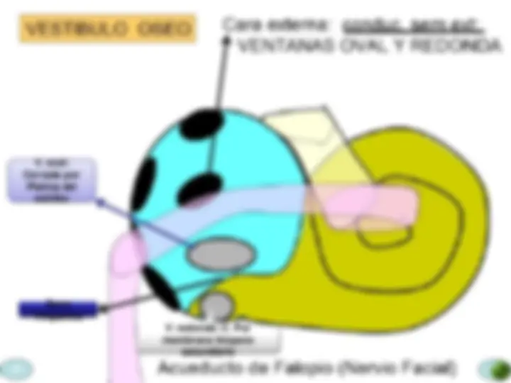 pf2f