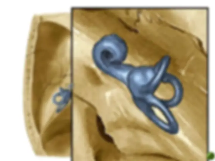 pf29
