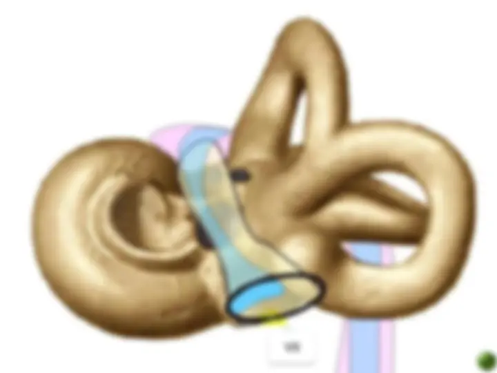 pf33