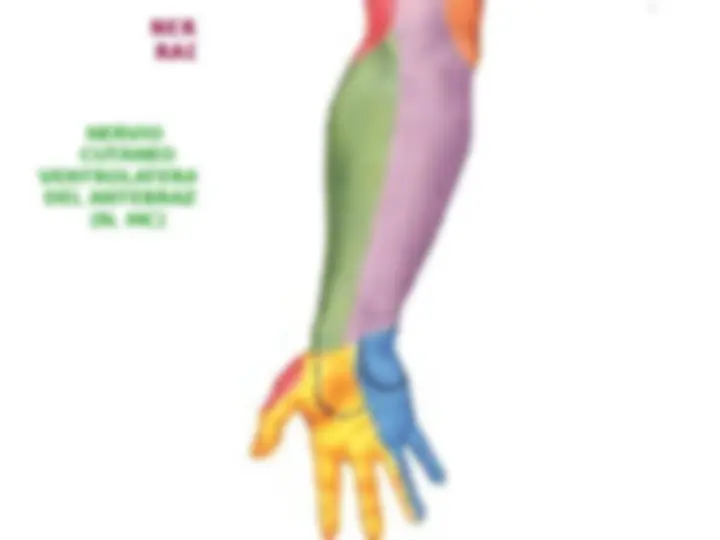 pf1a