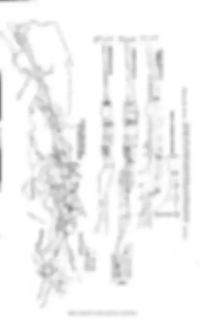 pf53