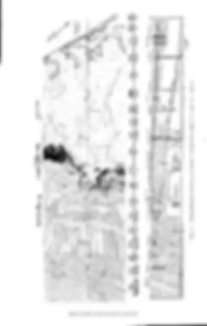 pf3f