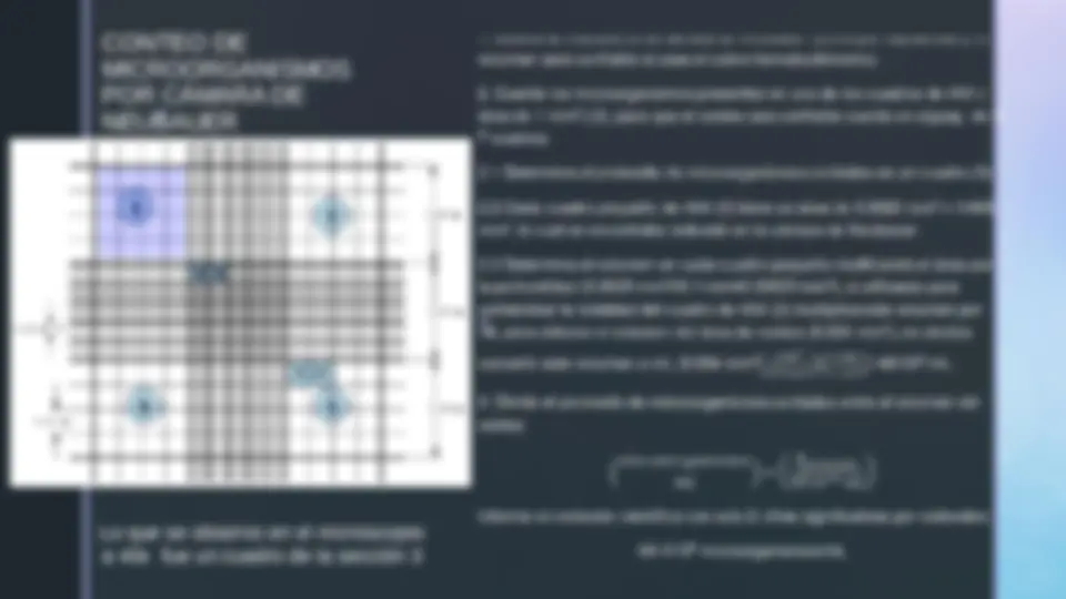 pf17