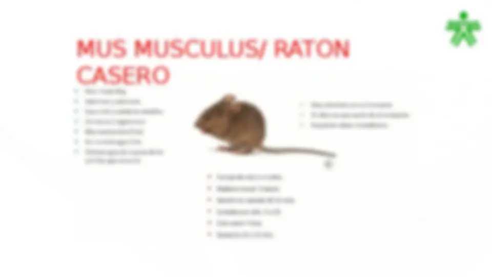 pf8