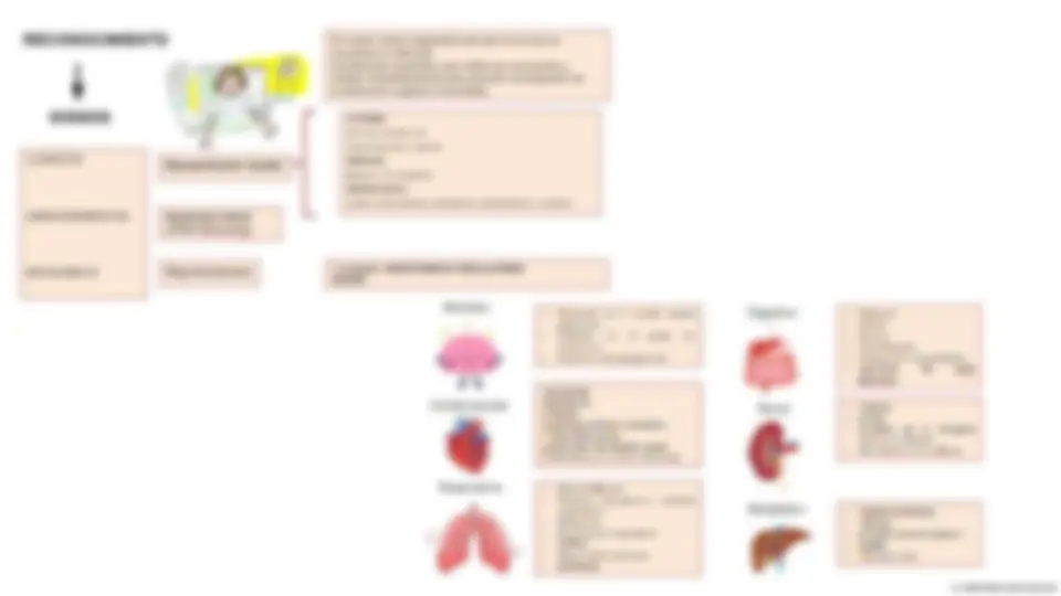 pf8