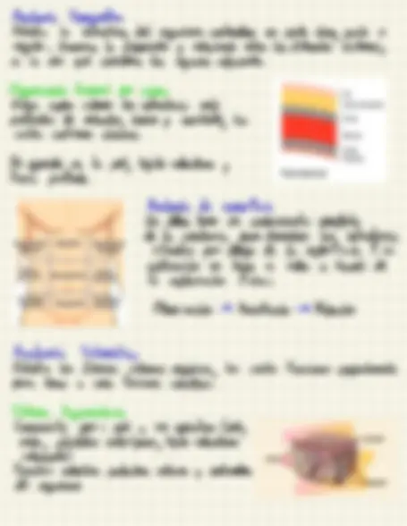 pf3